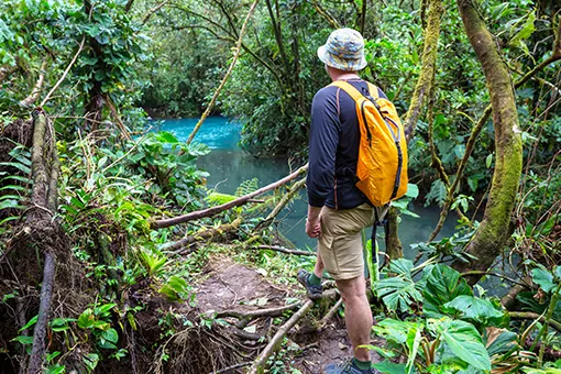 Excursion dans la jungle du Costa